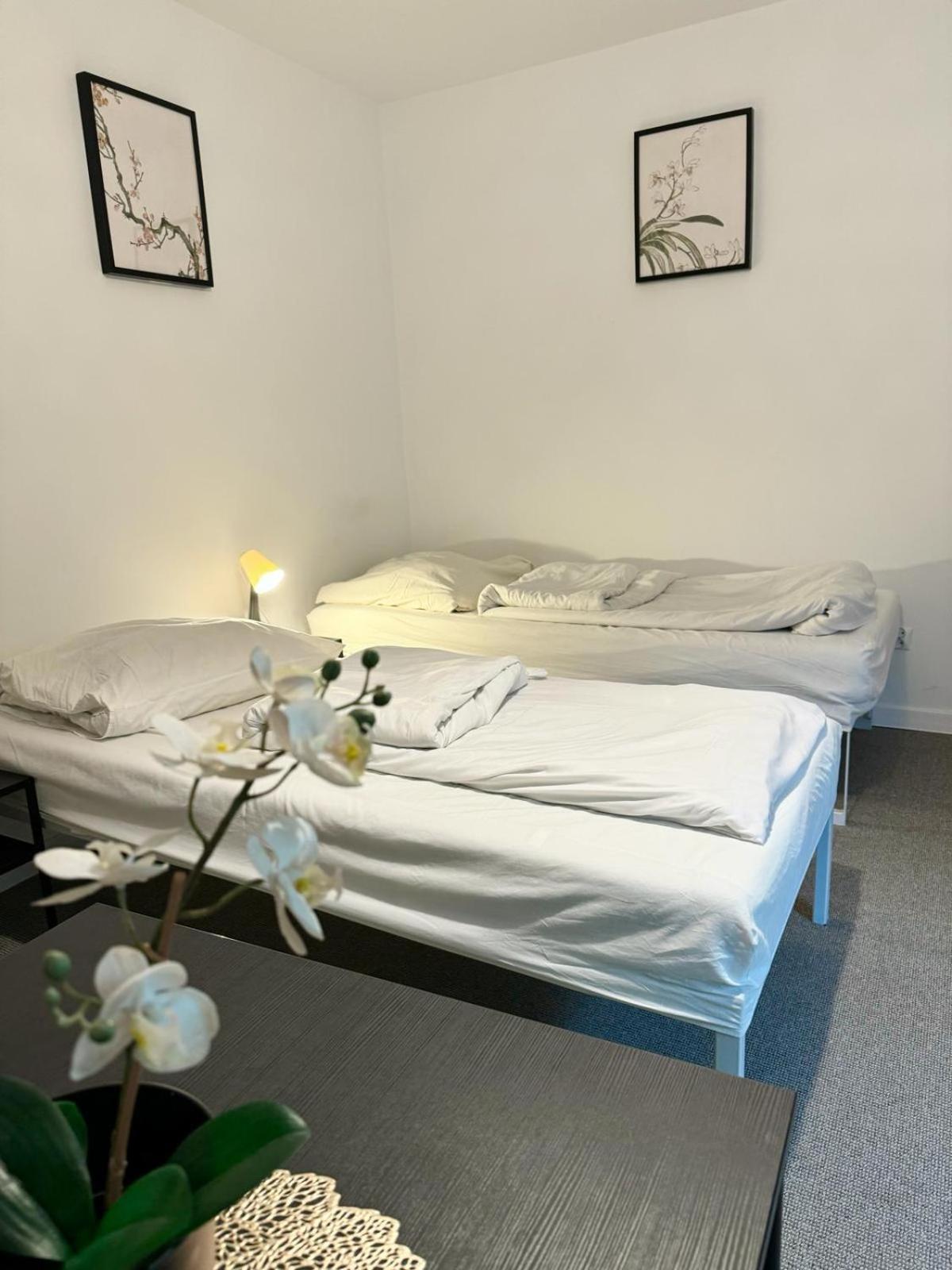 Villa Vincentow Myslenice Ngoại thất bức ảnh